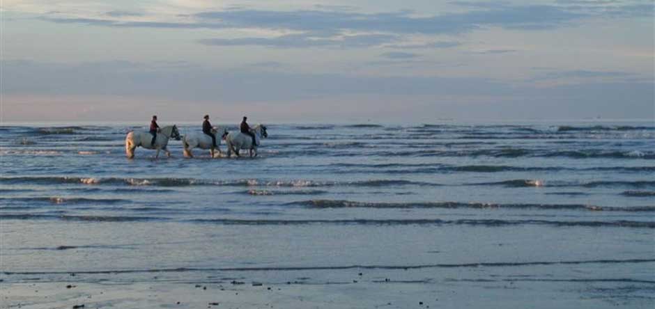 Thalasso et spa pour vos week-ends remise en forme près du Mont Saint-Michel | © DR